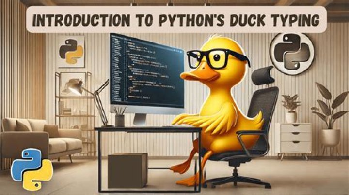 What is function duck typing