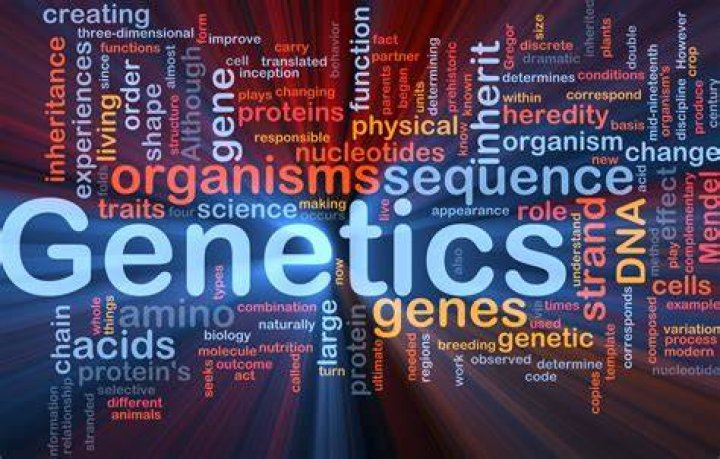 What is genetics in science