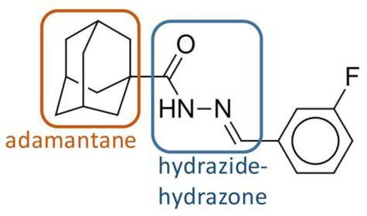 What is hydrazide used for?