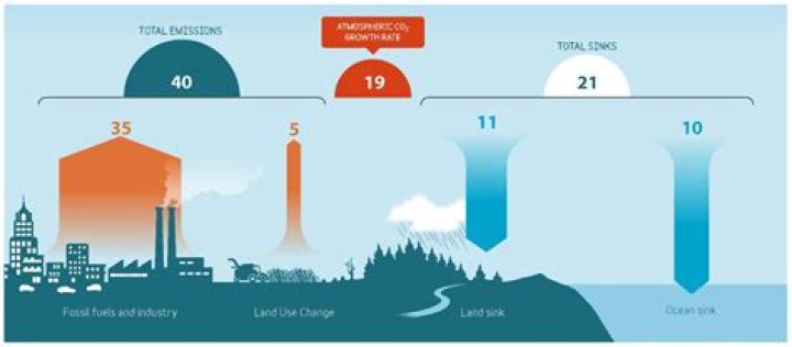 What is hydrocarbon pollution