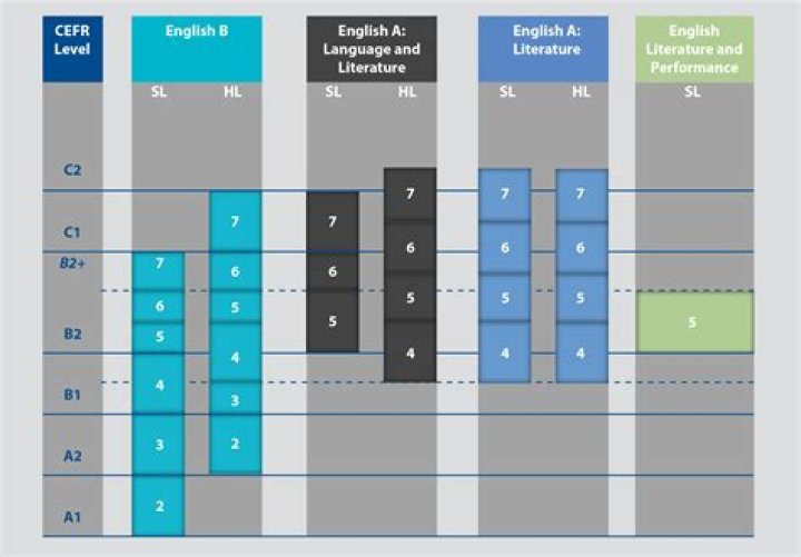 What is IB standard level