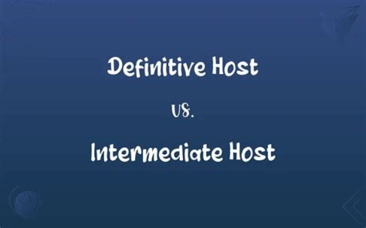 What is intermediate and definitive host?
