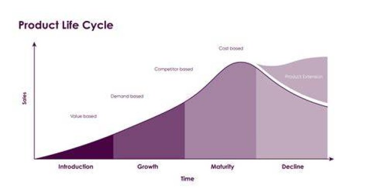 What is life cycle pricing?