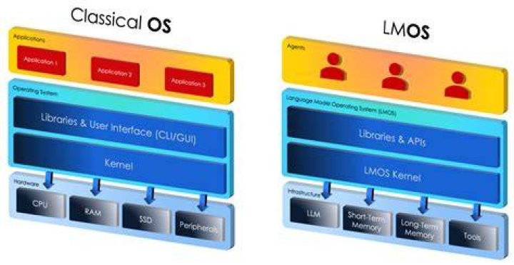 What is LMOs?