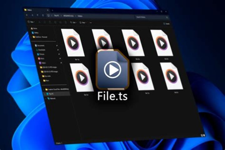 What is LPP file?