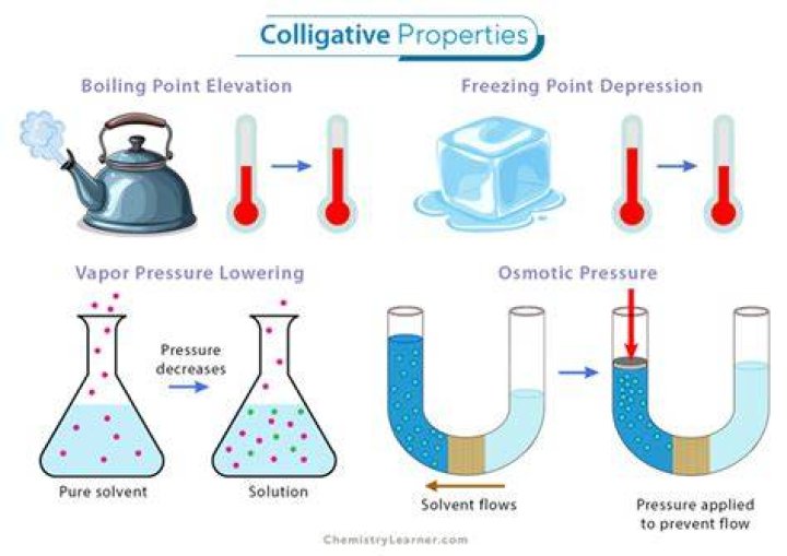What is meant by Colligative property in chemistry