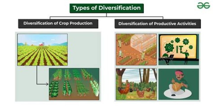 What is off-farm diversification?