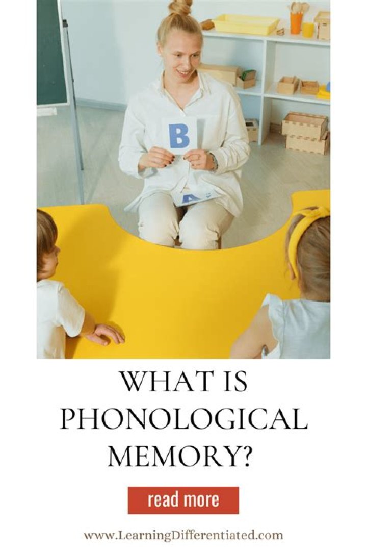 What is phonological memory