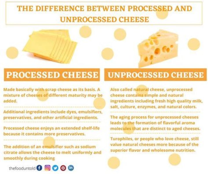What is processed cheese?