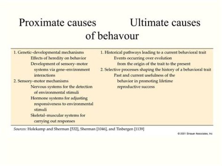 What is proximate and ultimate Behaviour