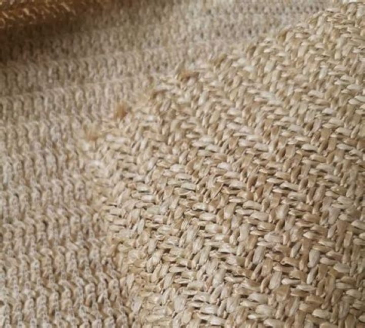 What is raffia fabric