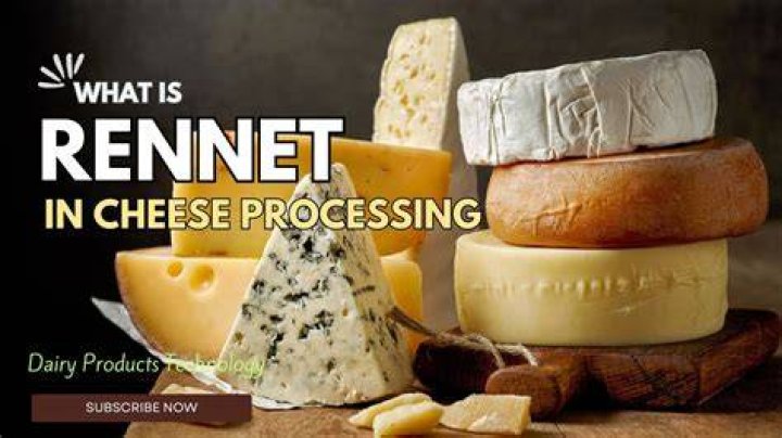 What is rennet made from?