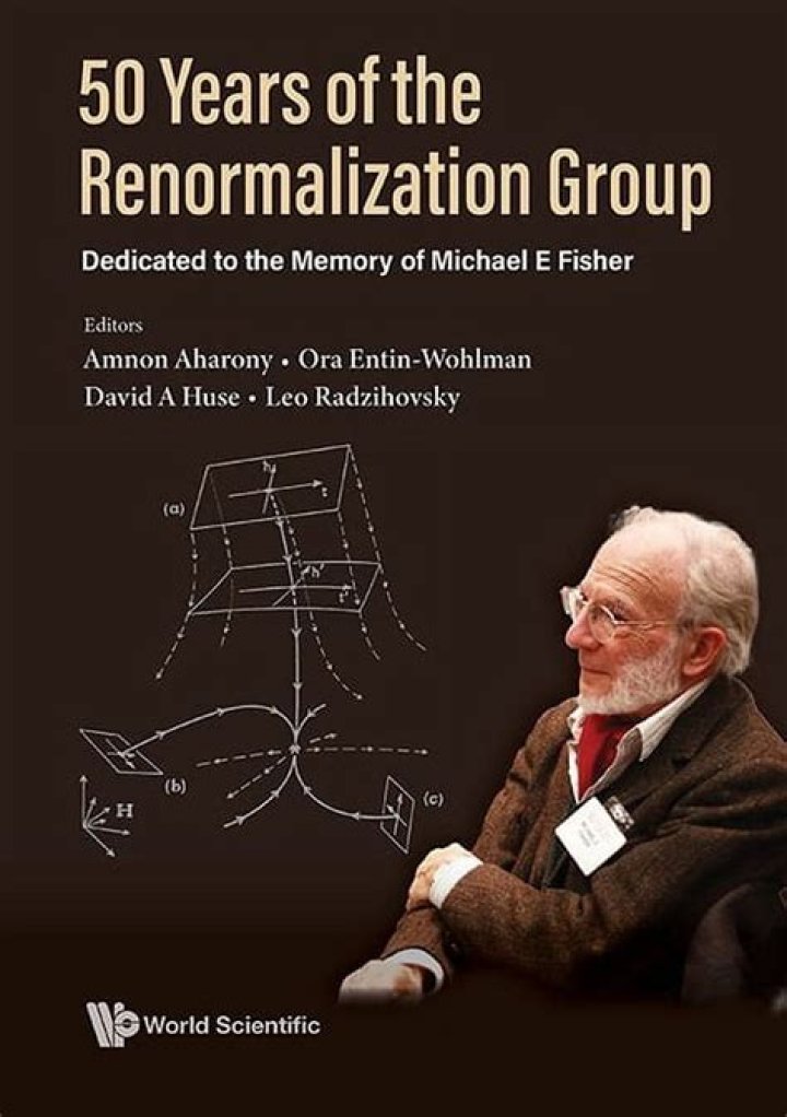 What is renormalization theory?