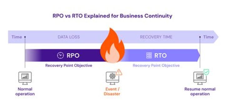 What is RPO code Y91?