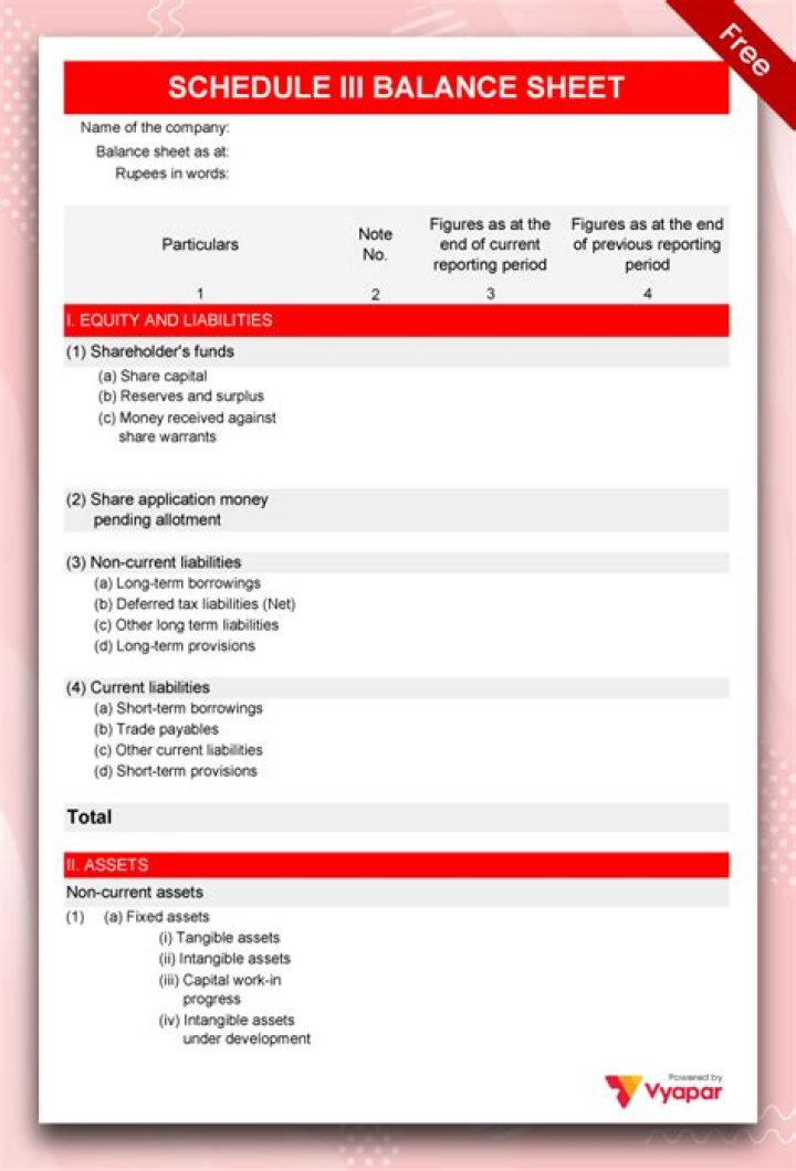 What is Schedule VI Balancesheet?
