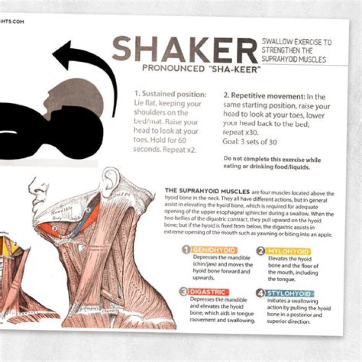 What is Shaker exercise