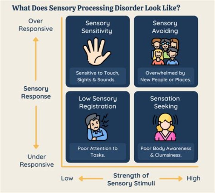 What is slow processing disorder?