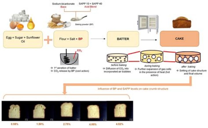 What is solid fat in baking?