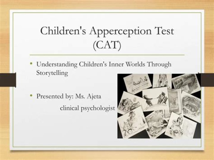 What is the Childrens Apperception Test