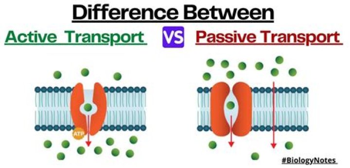 What is the difference between active and passive twinax cable?