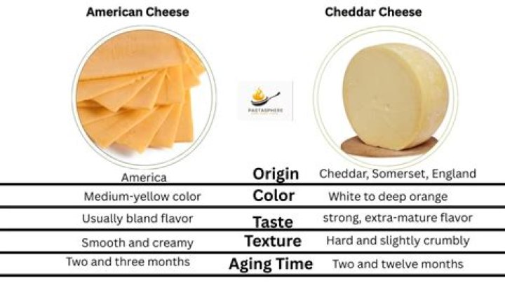 What is the difference between Cheddar cheese and processed cheese?