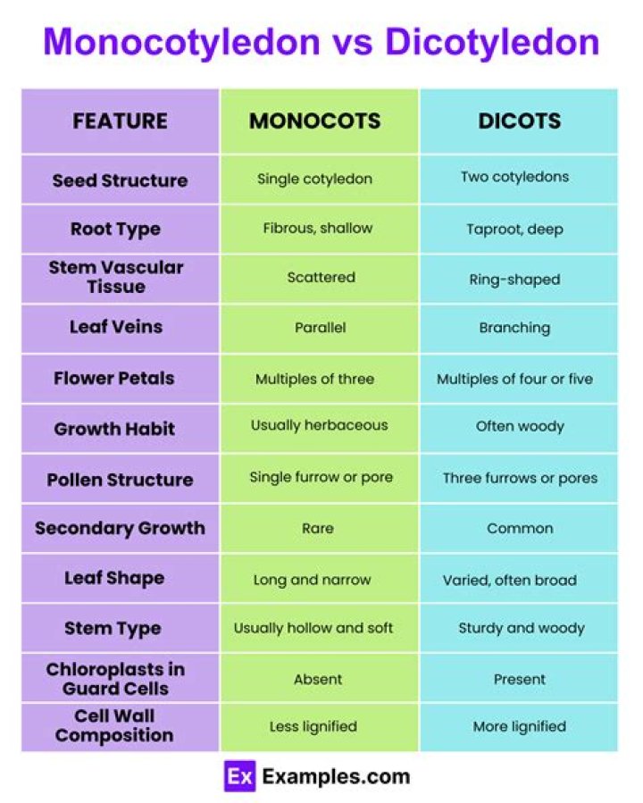 What is the difference between GetROProperty and GetTOProperty