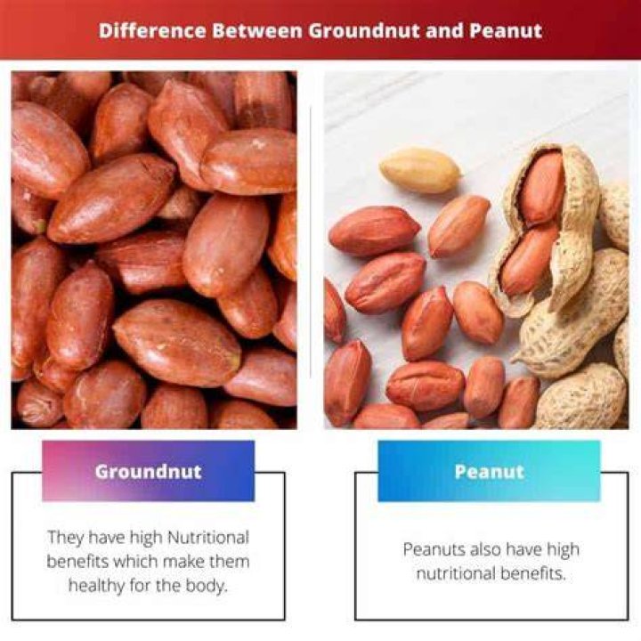 What is the difference between groundnut and peanut?
