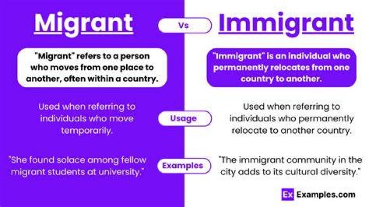 What is the difference between immigrants and emigrants called?
