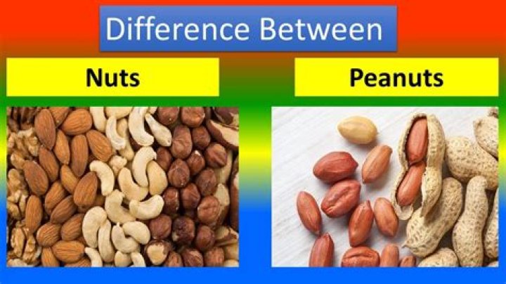 What is the difference between peanuts and cocktail peanuts?