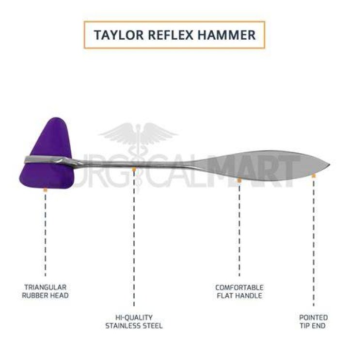 What is the reflex hammer called