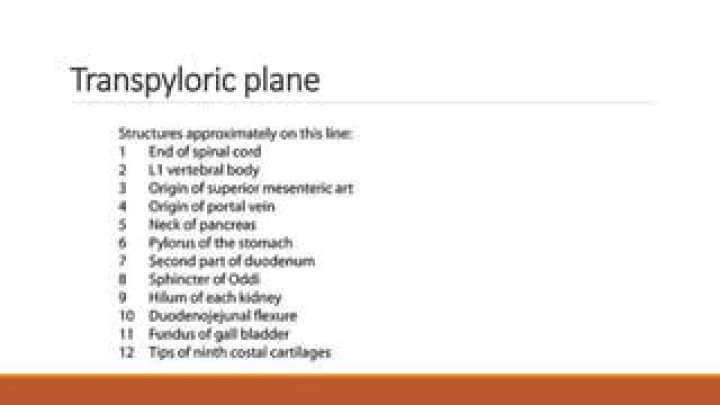 What is Transpyloric