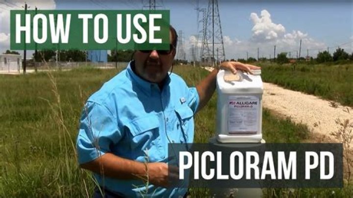 What kills picloram
