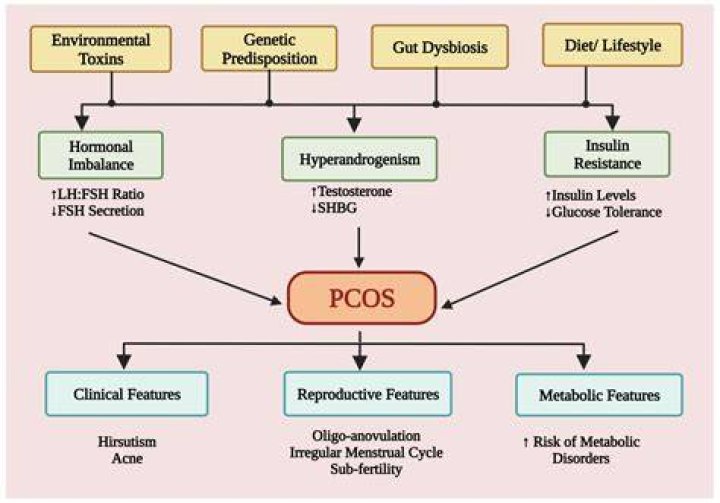 What lab tests for PCOS?