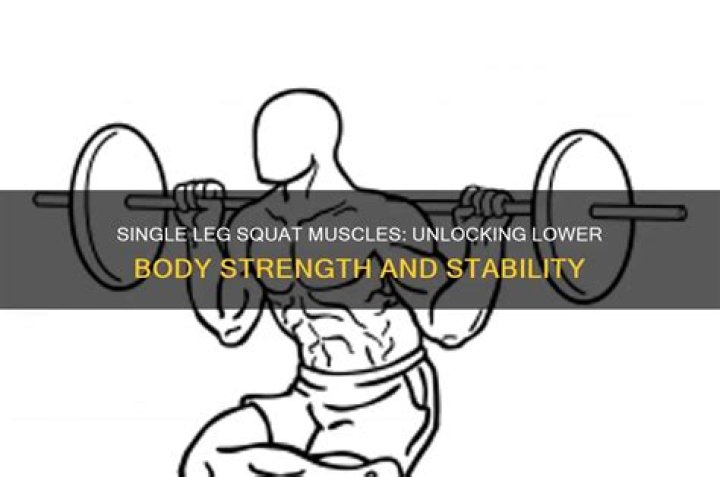 What muscles does a single leg squat work?