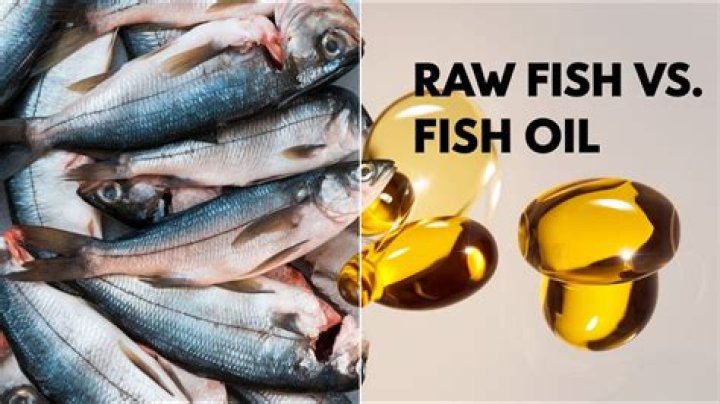 What oils attract fish?