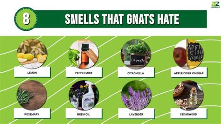 What smells do skunks hate