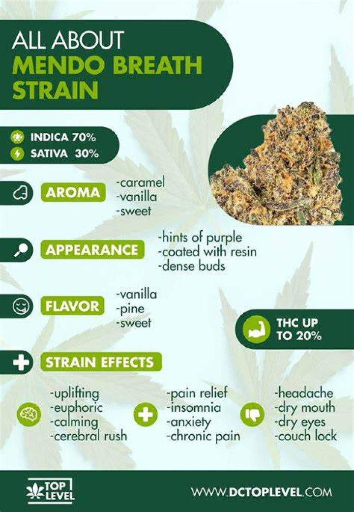 What strain is Mendo