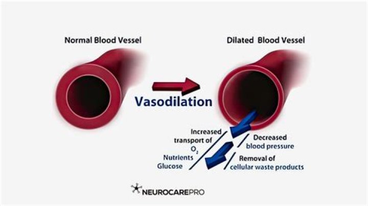 What substances cause vasodilation?