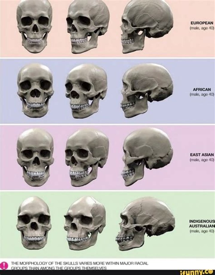 What time is the skull session?