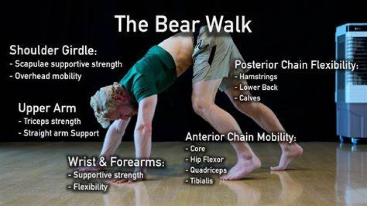 What to do if a bear walks up to you?