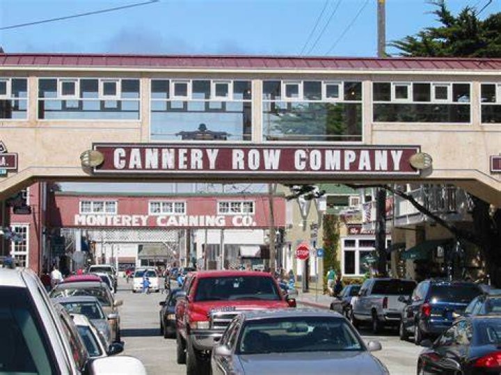 What was Cannery Row about