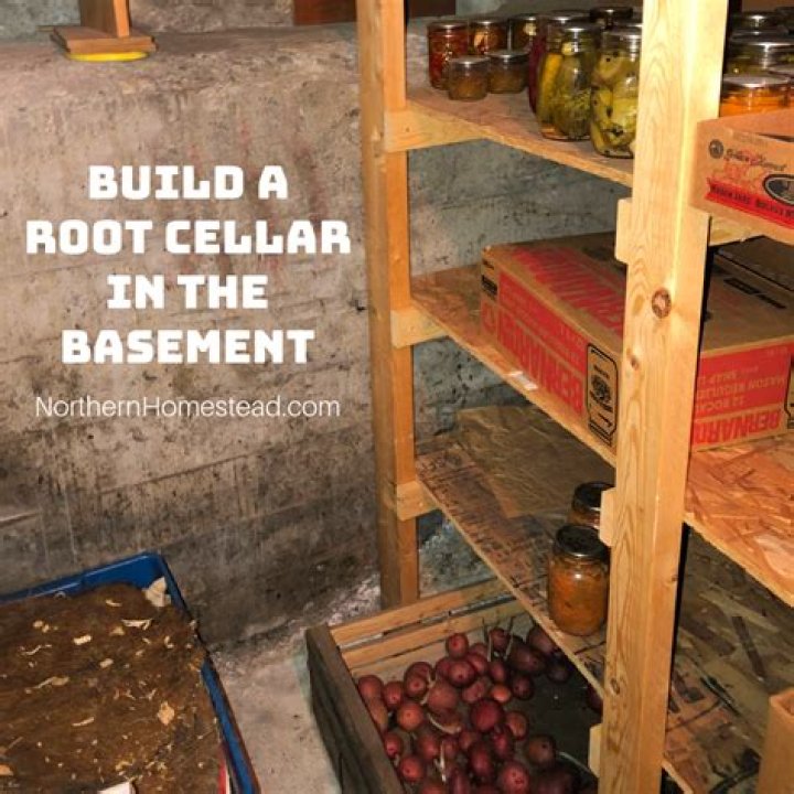 What were root cellars used for