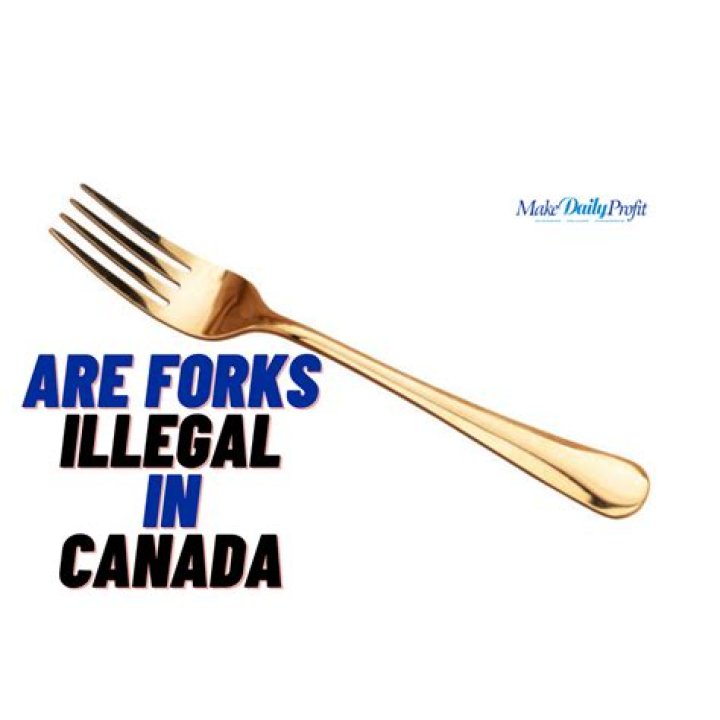 When did humans start using forks?