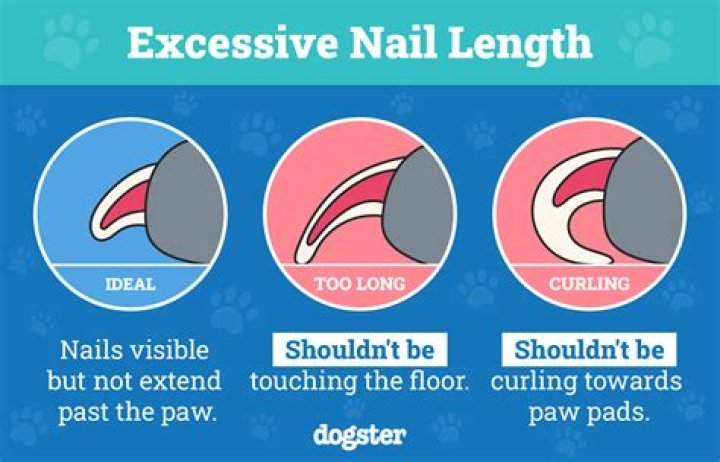 When should you use interlocking nails?