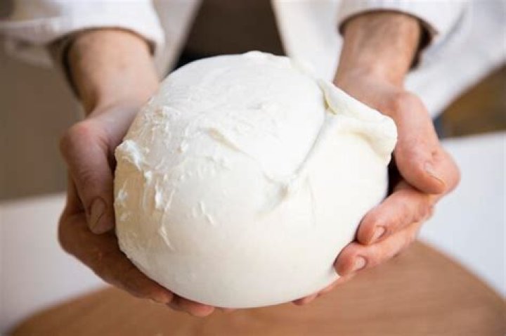 When was mozzarella invented?