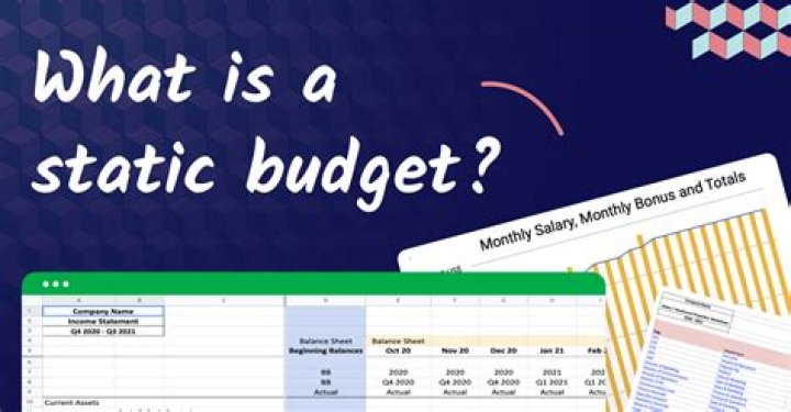 When would you use a static budget?