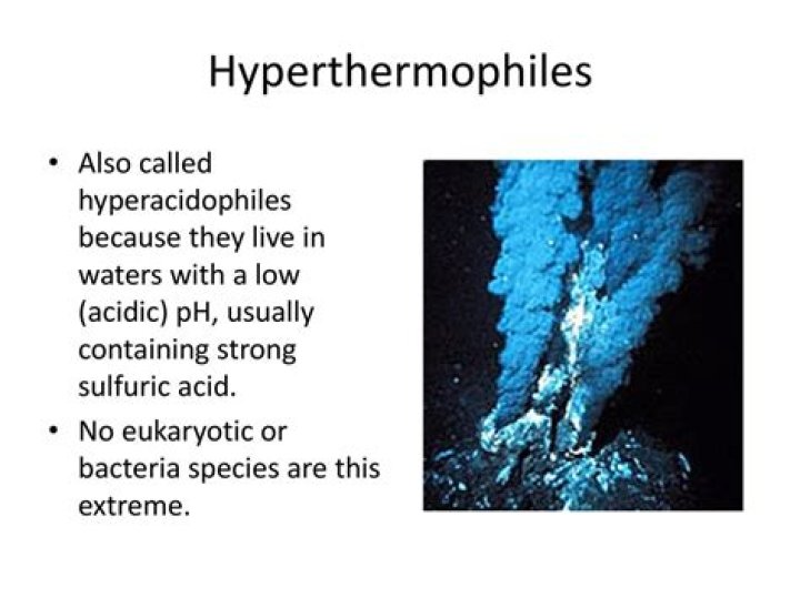 Where are hyperthermophiles found?