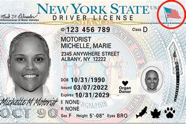 Where can I get an enhanced ID in MN