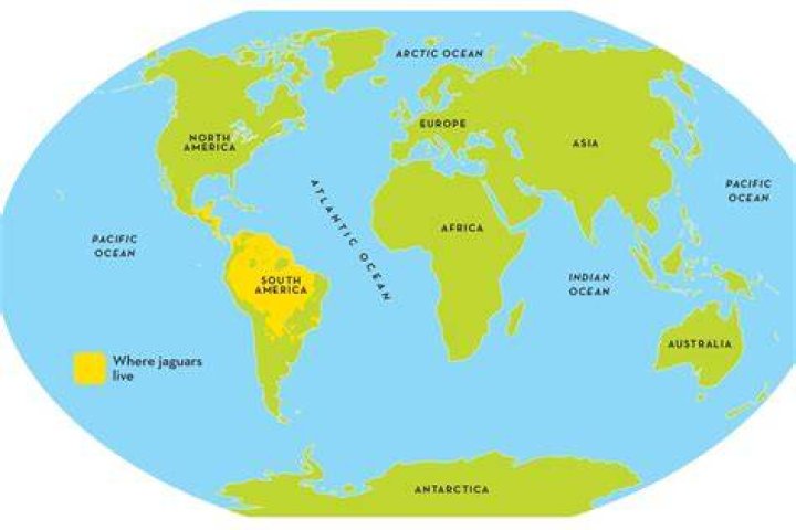 Where can rennet be found?