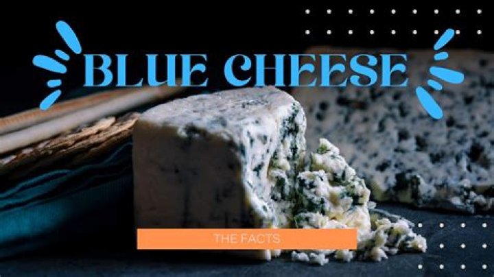 Where do blue cheese come from?